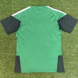 2026-27 Algeria Green Fans Training shirts (红格)