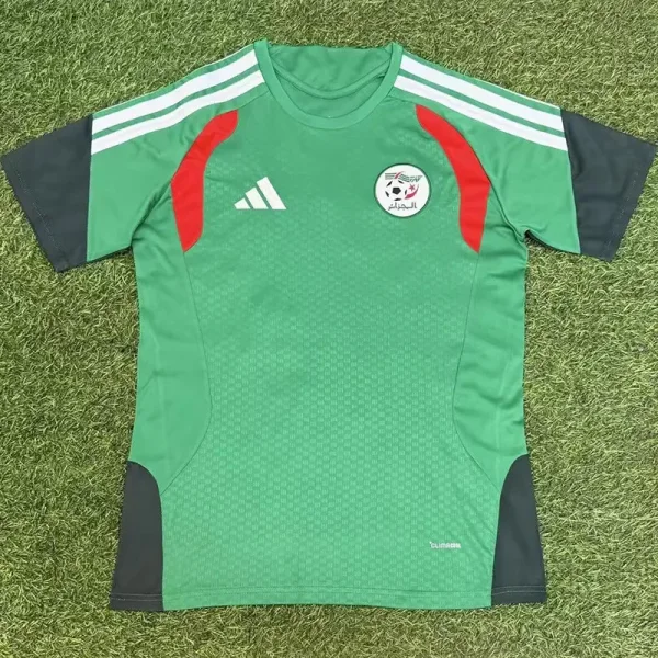 2026-27 Algeria Green Fans Training shirts (红格)