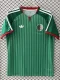 2026-27 Algeria Away Fans Soccer Jersey (无星)