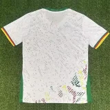 2026-27 Cameroon Away Fans Soccer Jersey