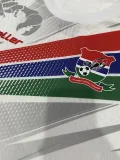 2025-26 Gambia Home Player Version Soccer Jersey