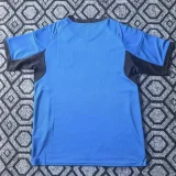 2025-26 Japan Blue Special Edition Training shirts (三叶标)