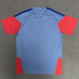 2026-27 Japan Grey Fans Training shirts