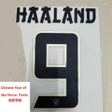 2025-26 Man City Special Edition Player Version Soccer Jersey