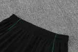 2025/26 Liverpool Green Training Short Suit