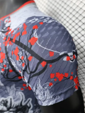 25-26 Japan Grey Special Edition Player Version Soccer Jersey