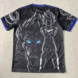 25-26 Japan Special Edition Fans Soccer Jersey (贝吉塔)