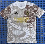 2025-26 Real Madrid Brown Special Edition Fans Training Shirts