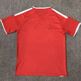 2026-27 Wales Red Special Edition Fans Soccer Jersey