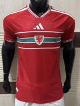 2026-27 Wales Home Player Version Soccer Jersey