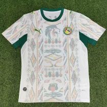 2026-27 Senegal Home Fans Soccer Jersey