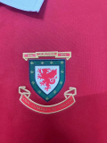2026 Wales 150th Anniversary Fans Soccer Jersey