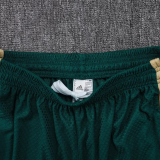 2026-27 Italy Green Player Version Training Short Suit (球员短套装)#D2603