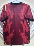 2026-27 Brazil JD Red Special Edition Fans Soccer Jersey