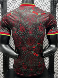 2026-27 Mexico Brown Special Edition Player Version Training shirts