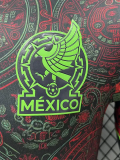 2026-27 Mexico Brown Special Edition Player Version Training shirts