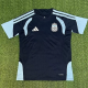 2026-27 Argentina Royal Blue Training shirts