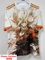 2026-27 Algeria Special Edition Player Version Training shirts (球员版)动漫