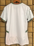 2026-27 Portugal White Special Edition Fans Training shirts (PM)
