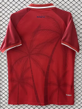 2026-27 Haiti Third Fans Soccer Jersey
