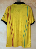 2026-27 Ghana Yellow Fans Training shirts (有领GH)