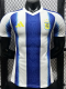 2026-27 Argentina Blue White Special Edition Player Version Training shirts (黄标)