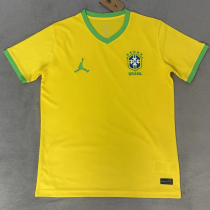2026-27 Brazil Yellow Special Edition Training shirts (JD标)