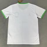 2026-27 Brazil White Special Edition Training shirts (JD标女神)
