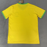 2026-27 Brazil Yellow Special Edition Training shirts (JD标)