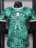 2026-27 Mexico Green Special Edition Player Version Training shirts (逗号)