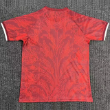 2026-27 Turkey Special Edition Fans Soccer Jersey (逗号)