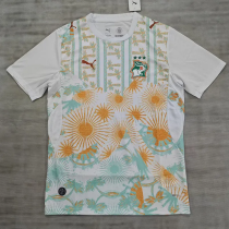 2026-27 Ivory Coast Away Fans Soccer Jersey