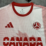 2026 Canada World Cup Culture Promotion Red Training shirts