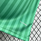 2026-27 Algeria Away Fans Soccer Jersey (无星)