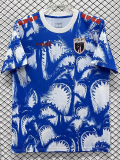 2026-27 Cape Verde Blue Pre-Match Training shirts