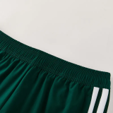 2026-27 Algeria Green Windbreaker Suit (Hoodie)(风衣套装)