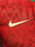 2026-27 Portugal Red Special Edition Player Version Training shirts