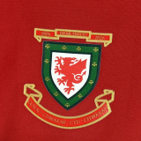 2026 Wales 150th Anniversary Long Sleeve Soccer Jersey (长袖)