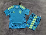 2026-27 Spain Blue Goalkeeper Adult Soccer Jersey