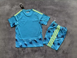 2026-27 Spain Blue Goalkeeper Adult Soccer Jersey