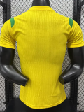 2026-27 Brazil Yellow Special Edition Player Version Training shirts (绿飞人标)