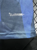 2026-27 Argentina Royal Blue Special Edition Player Version Training shirts (黄标)