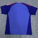 2026-27 Mexico Purple Blue Fans Goalkeeper Soccer Jersey