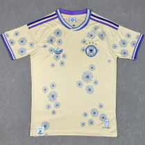 2026-27 Germany Earthy Yellow Special Edition Training shirts