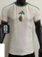 2026-27 Algeria Home Player Version Soccer Jersey (Right-Arm Patch) (无星)