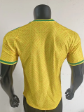 2026-27 South Africa Home Player Version Soccer Jersey (Right-Arm Patch)