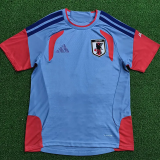 2026-27 Japan Grey Player Version Training shirts