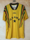2026-27 Ghana Yellow Fans Training shirts (adV领)