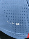 2026-27 Japan Grey Player Version Training shirts