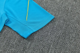 2026-27 Brazil Lake blue Training Short Suit